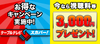 スカパー！e2 今ならお得なキャンペーン - キャンペーン期間中、スカパー！e2に新規契約で視聴料等3,000円プレゼント！