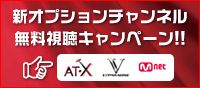 新オプションチャンネルお試しキャンペーン