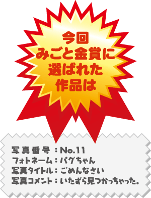 金賞作品：写真番号 No.11 写真タイトル「ごめんなさい」
