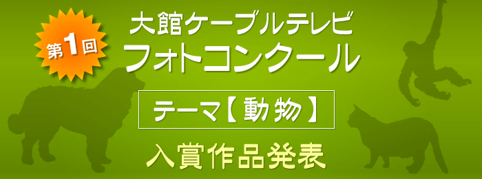 第1回大館ケーブルテレビ フォトコンクール