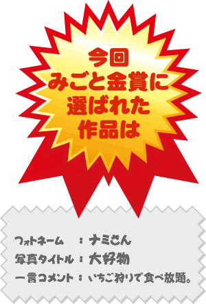 金賞作品／フォトネーム：ナミさん 写真タイトル「大好物」
